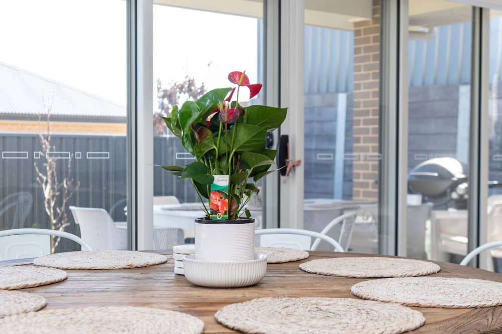 Photo of Kitchen in Bolwarra