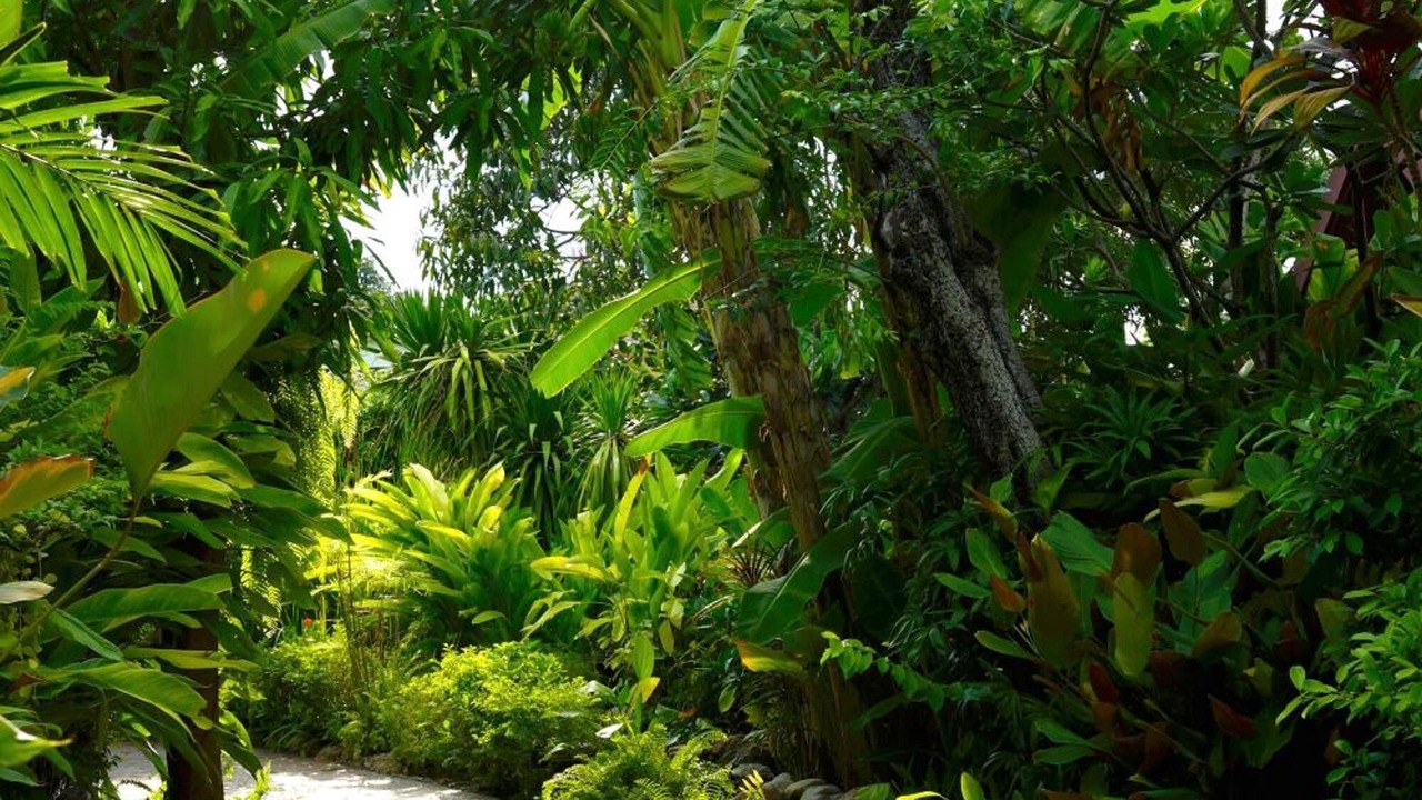 Photo of Outdoor in Khao Takiab