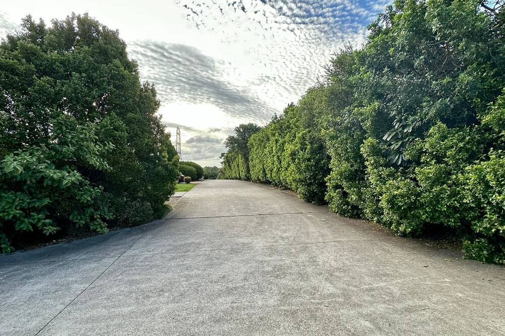 Photo of Outdoor in Tingalpa