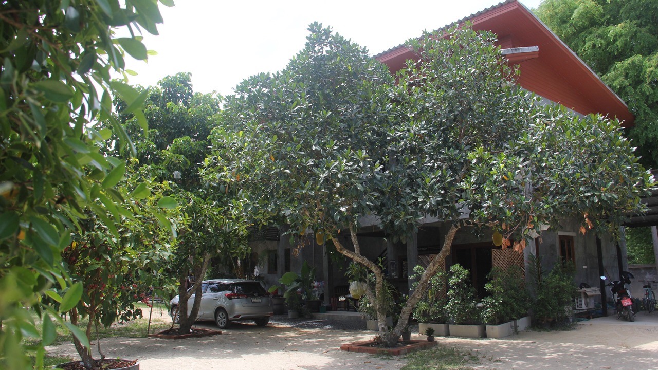 Photo of Outdoor in Baan Tai