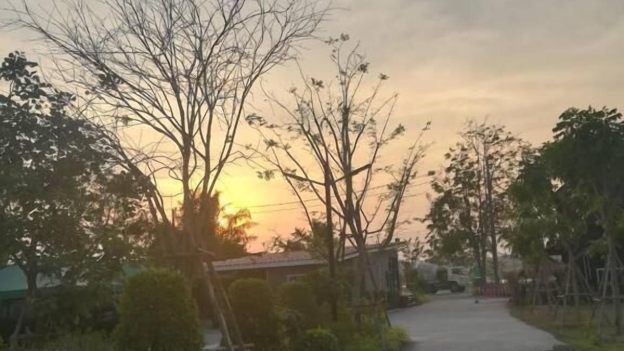 Photo of Outdoor in Pong