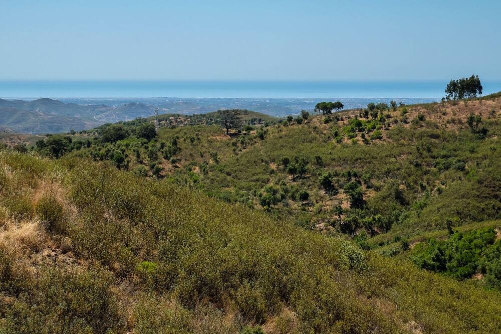 Photo of Others in Fonte do Bispo