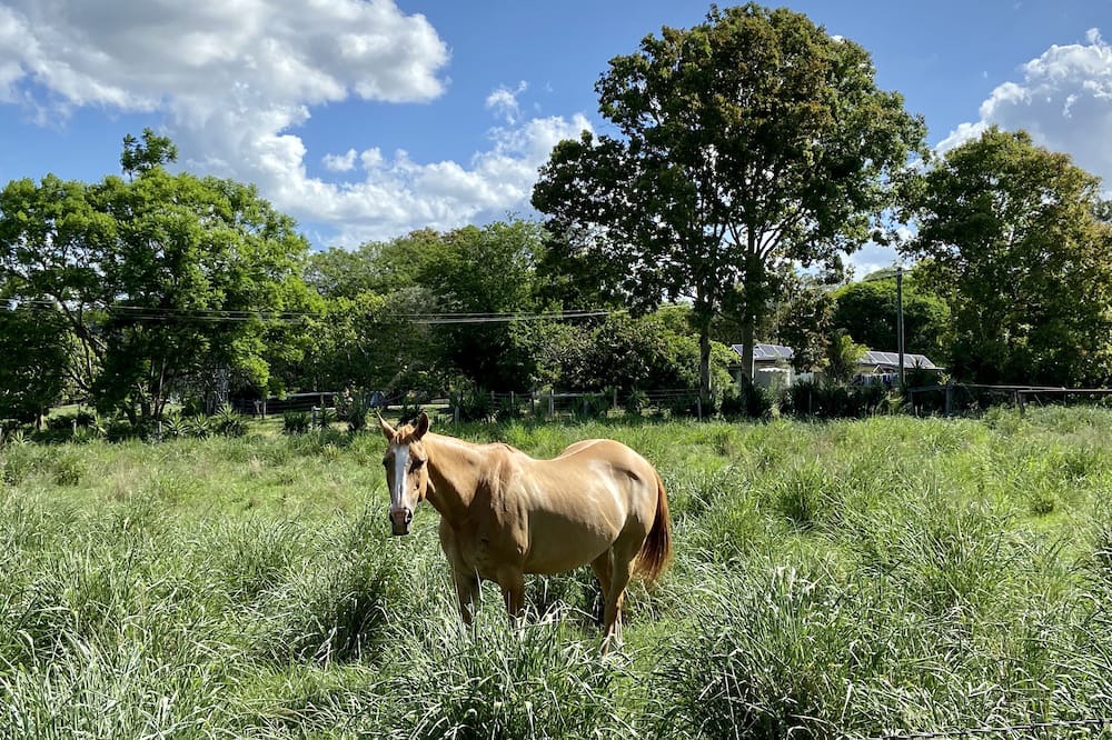Photo of Outdoor in Lowood