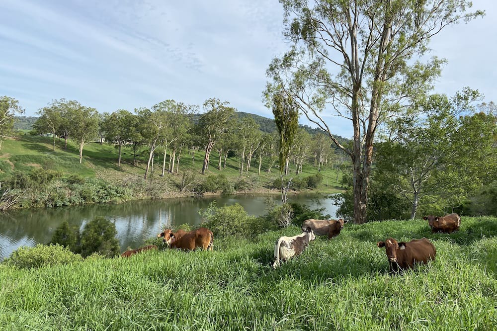 Photo of Outdoor in Lowood