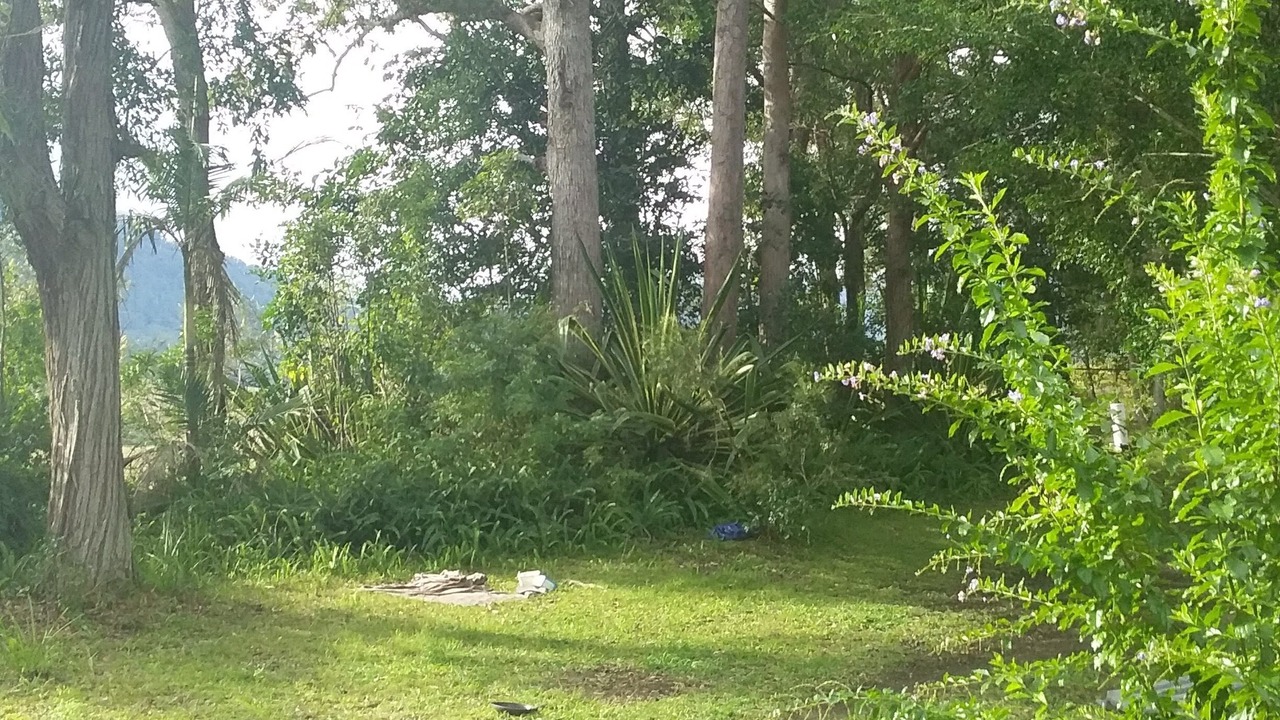 Photo of Outdoor in Blue Knob