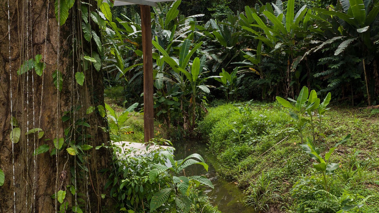 Photo of Outdoor in Puerto Viejo de Talamanca