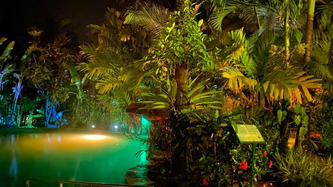 Photo of Outdoor in Guayabo