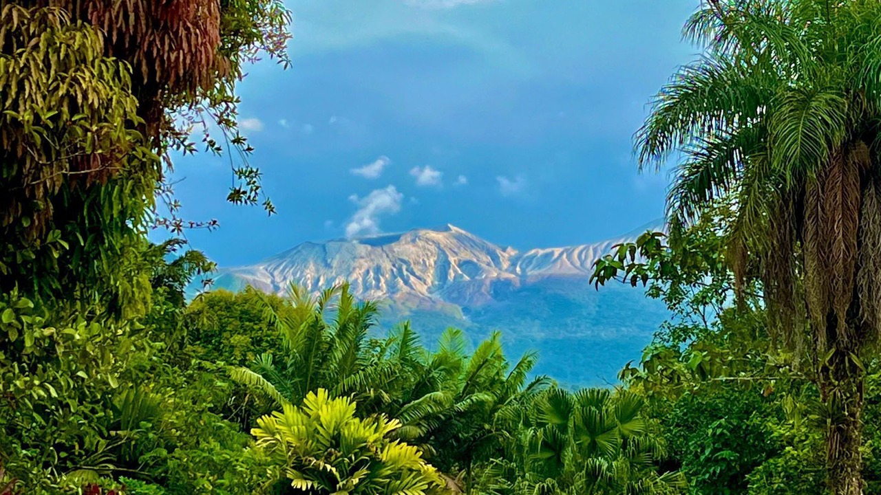 Photo of Outdoor in Guayabo