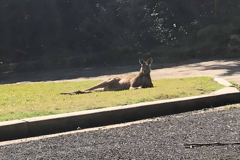 Photo of Outdoor in South Maroota