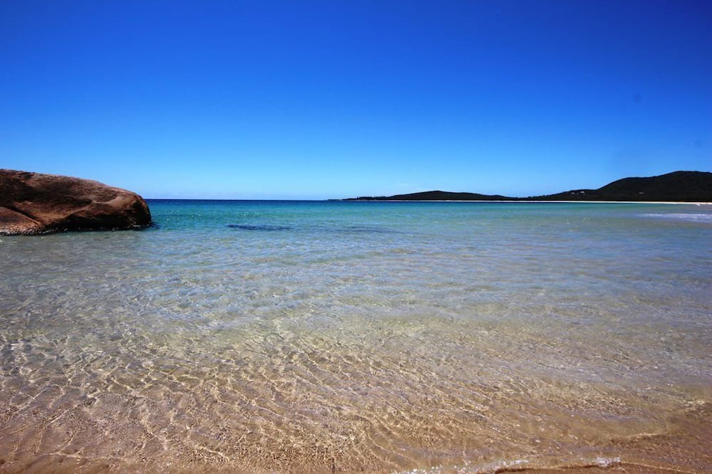 Photo of Others in South West Rocks