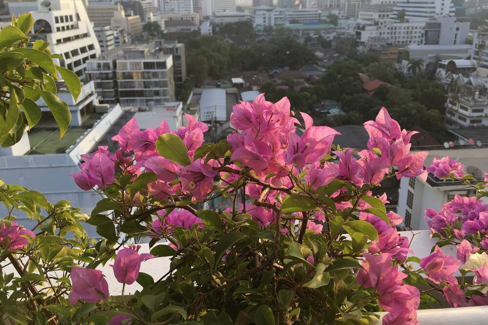 Photo of Outdoor in Silom