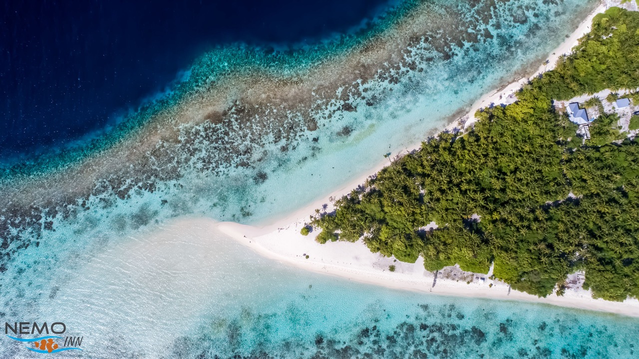 Photo of Others in Omadhoo
