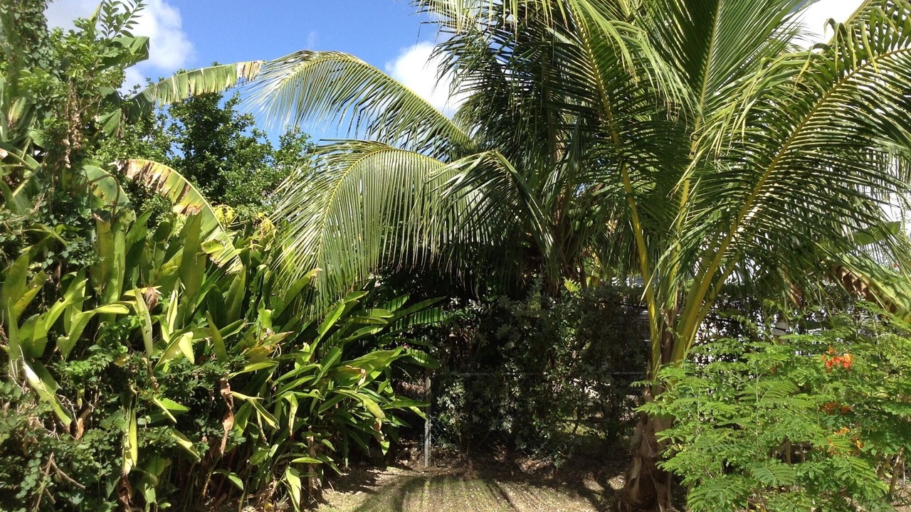 Photo of Outdoor in Douglas