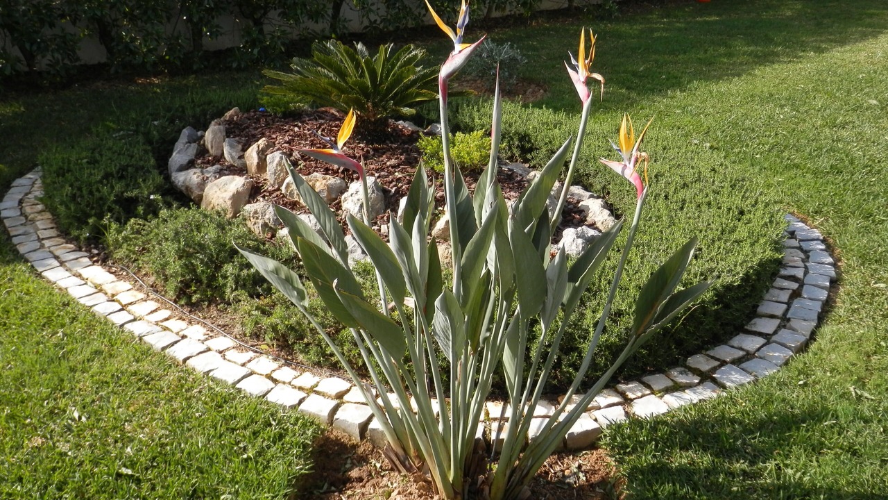 Photo of Outdoor in Vila Real Santo Antonio