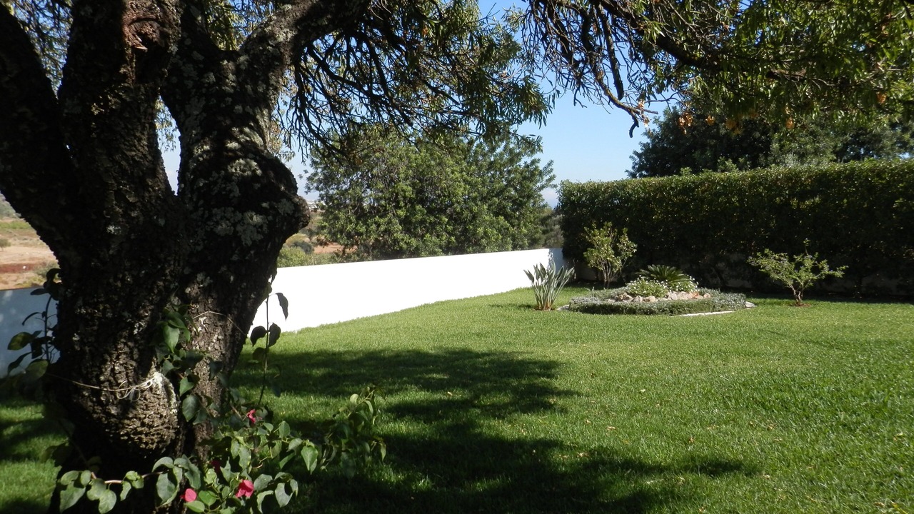 Photo of Outdoor in Vila Real Santo Antonio