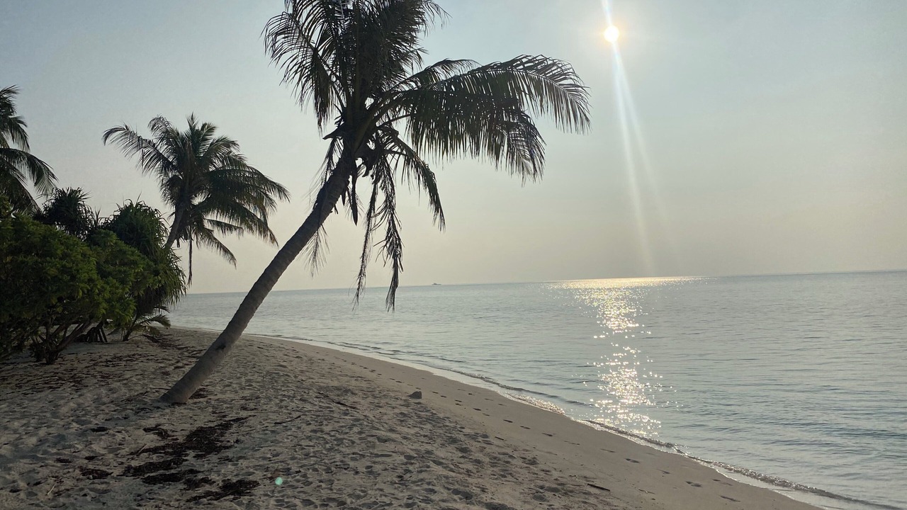 Photo of Others in Goidhoo