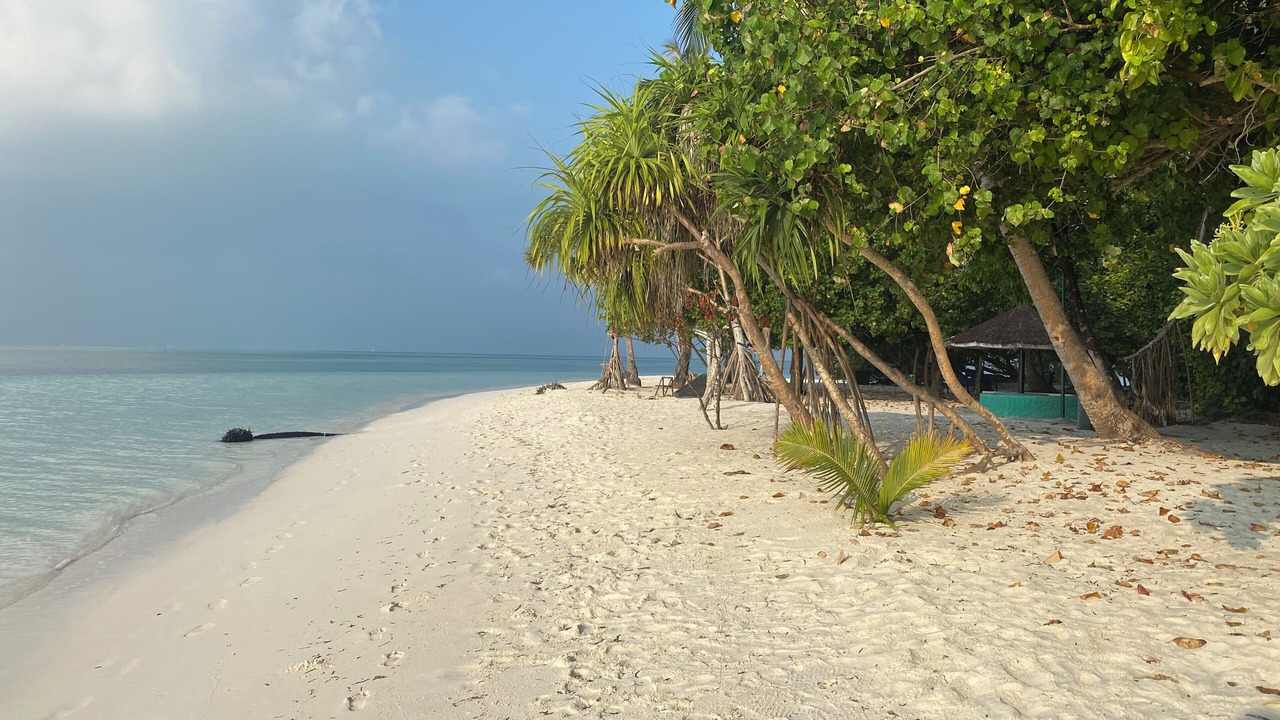 Photo of Others in Goidhoo