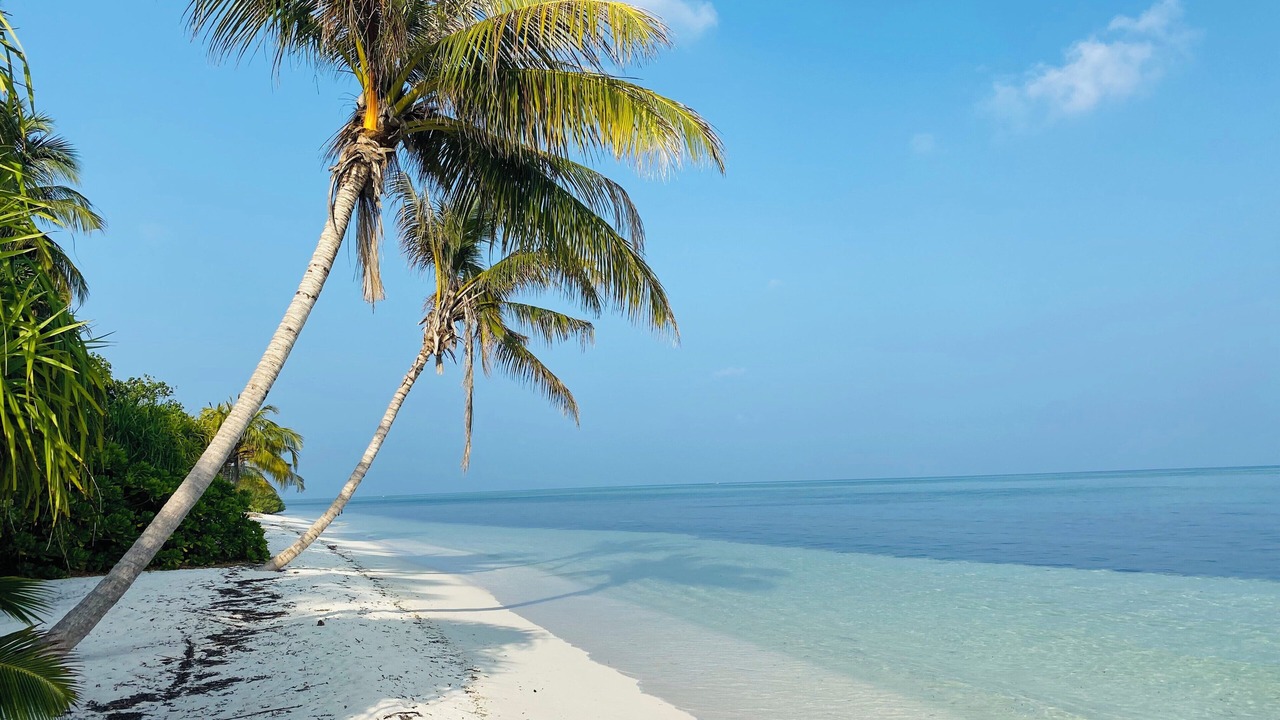 Photo of Others in Goidhoo