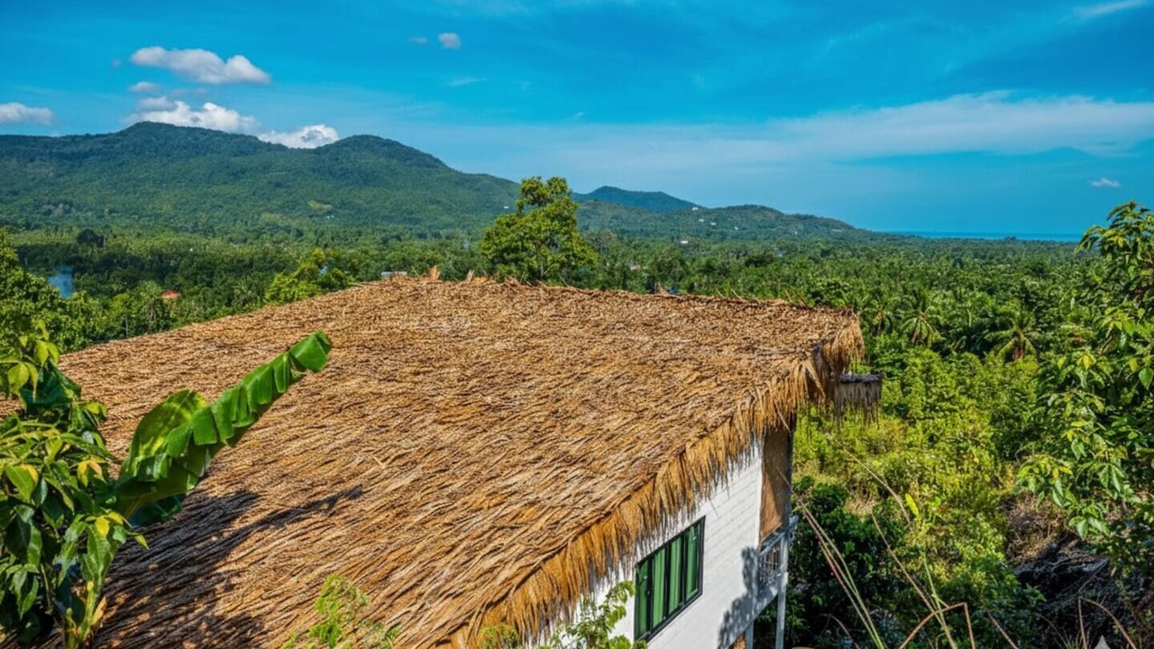 Photo of Outdoor in Wok Tum