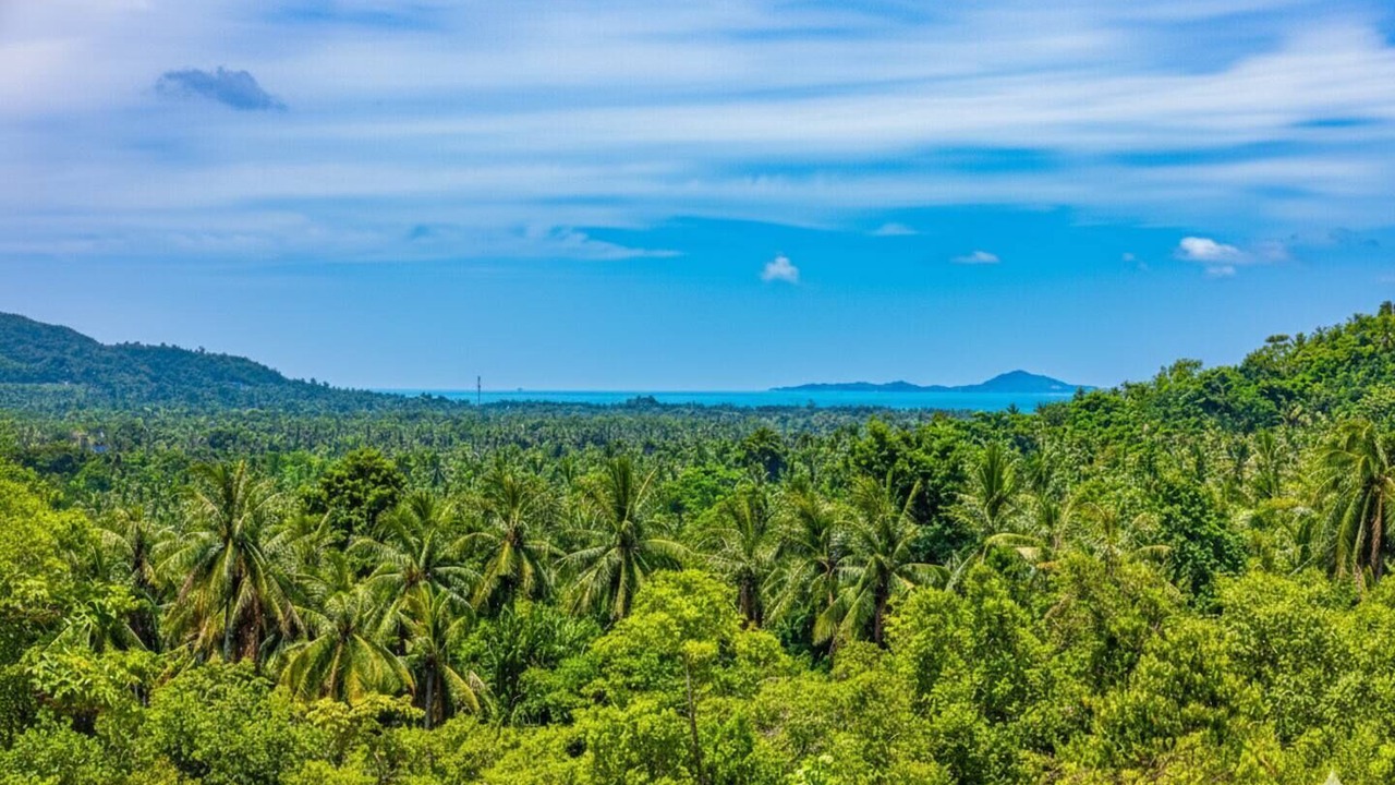 Photo of Outdoor in Wok Tum