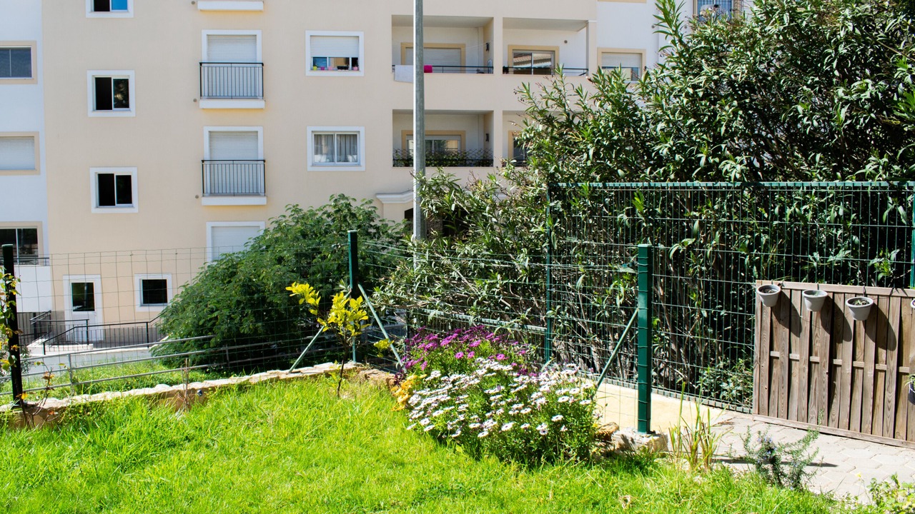 Photo of Outdoor in Funchal