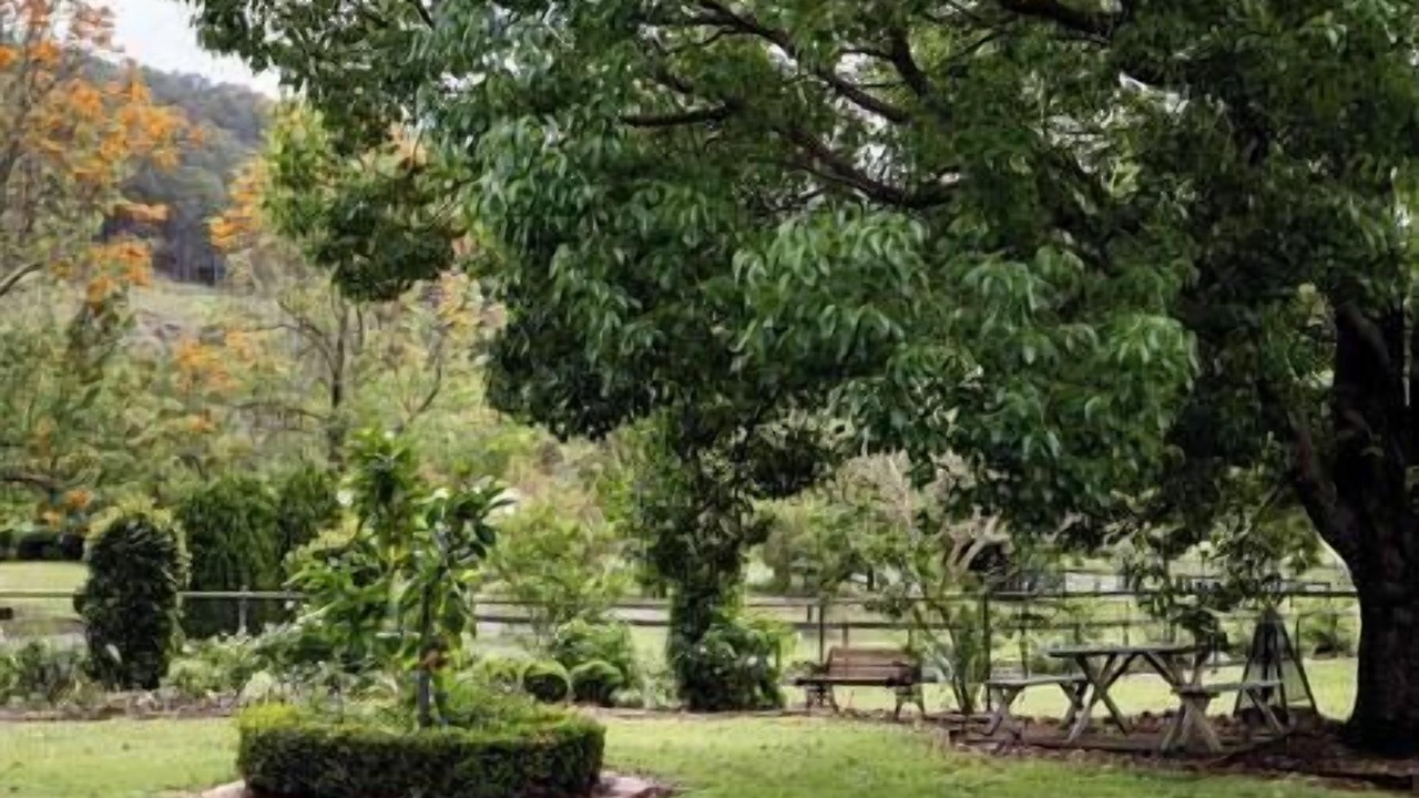 Photo of Outdoor in Canungra