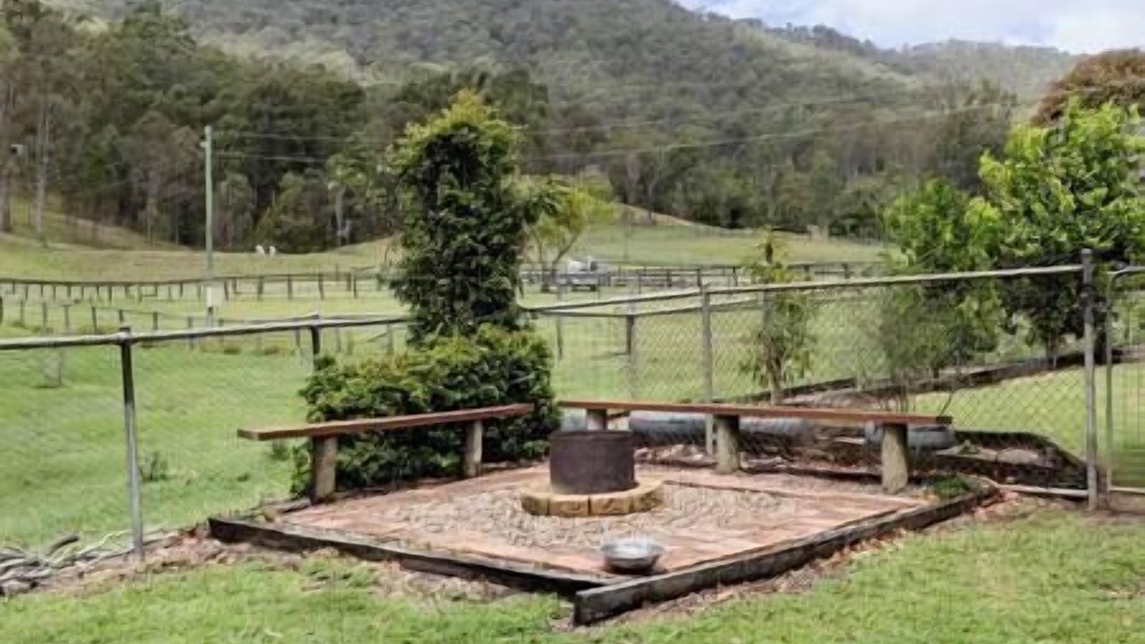 Photo of Outdoor in Canungra