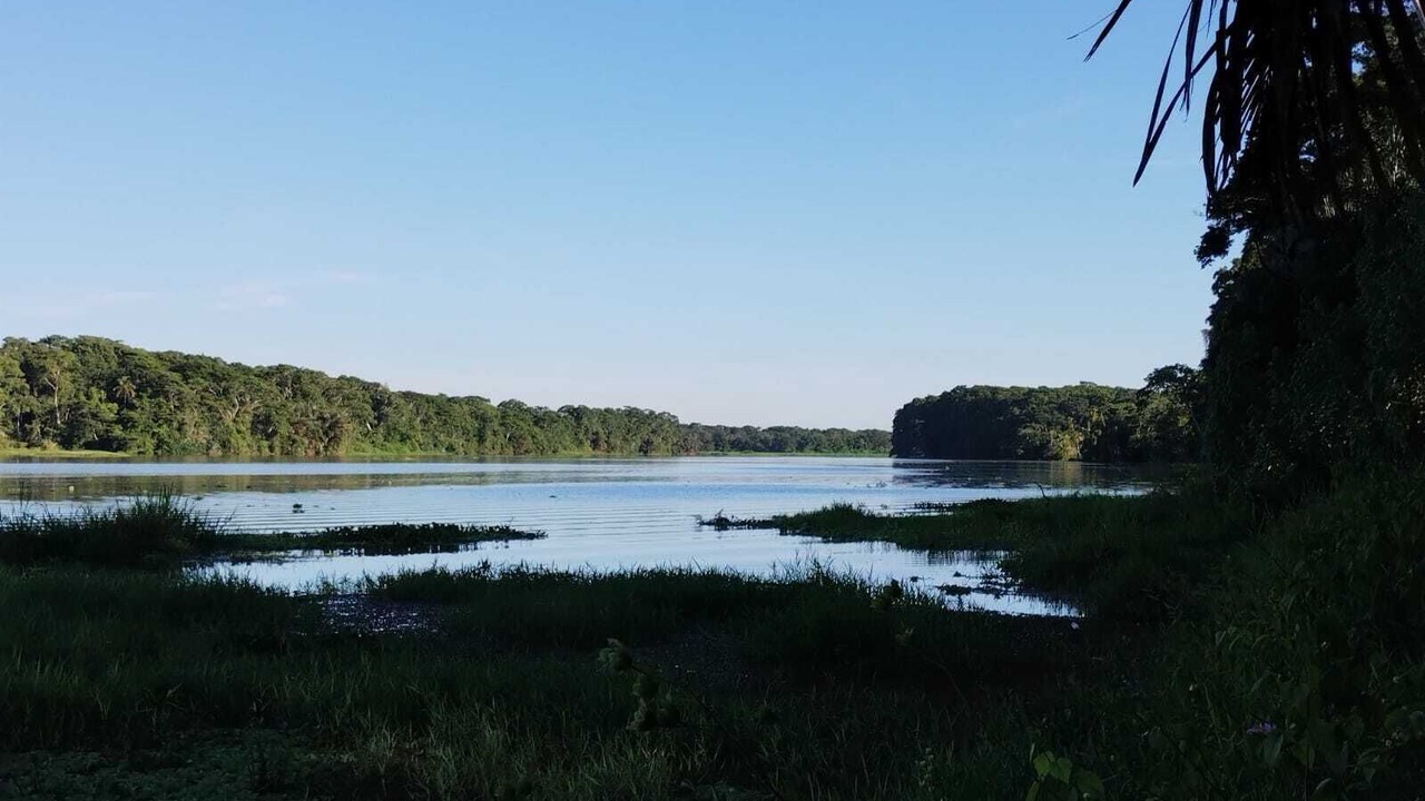 Photo of Others in San Miguel