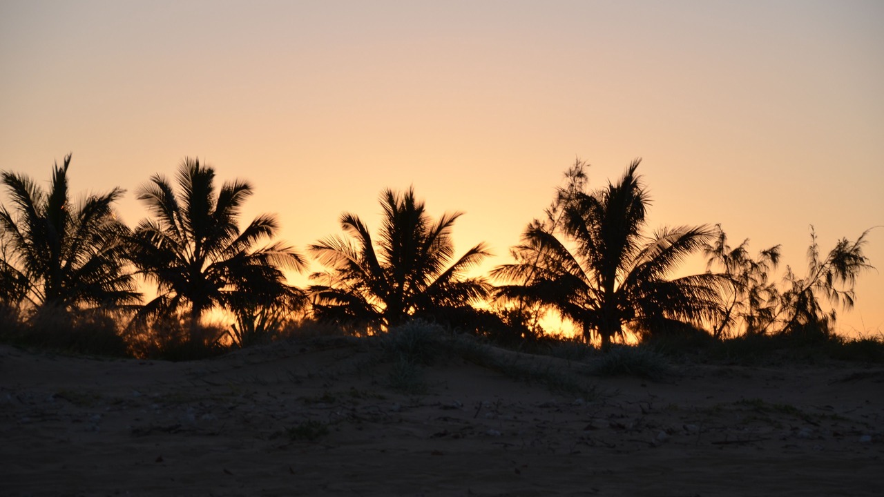 Photo of Others in South Mackay