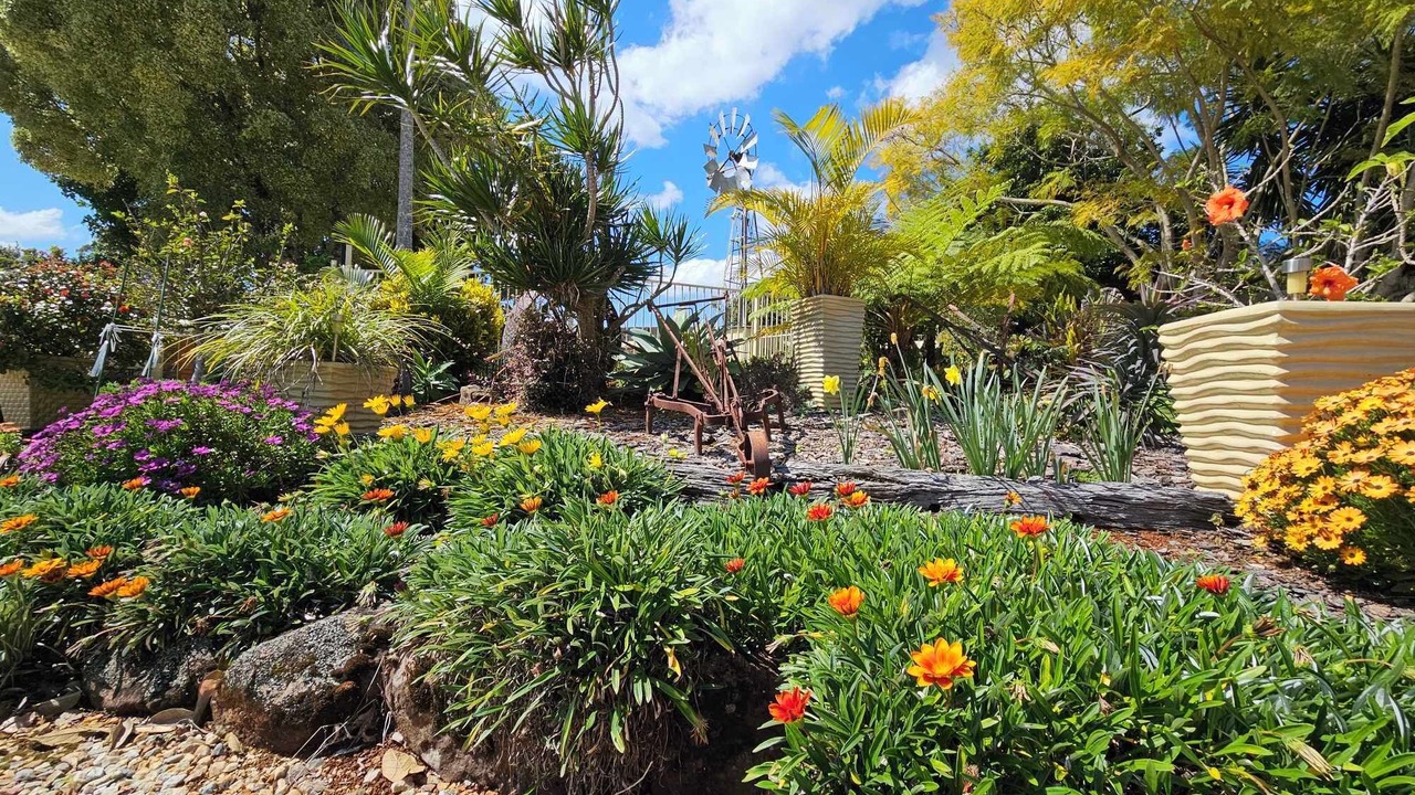 Photo of Outdoor in Alstonville