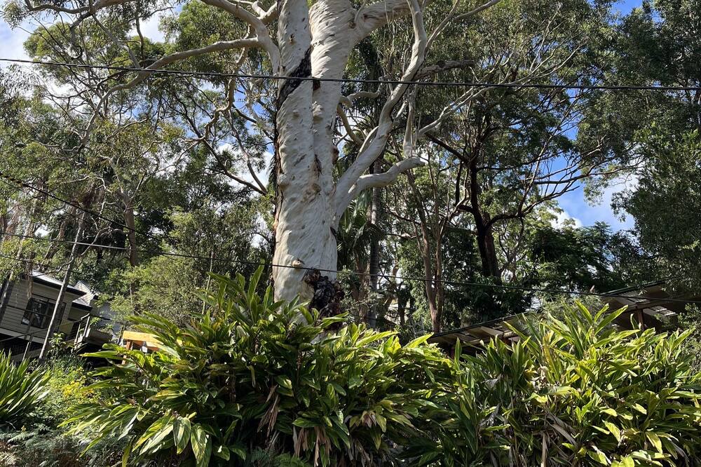 Photo of Others in Sydney