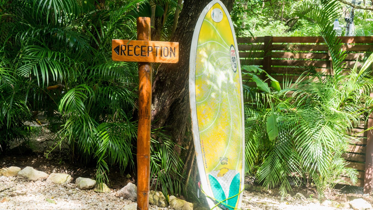 Photo of Outdoor in Nosara