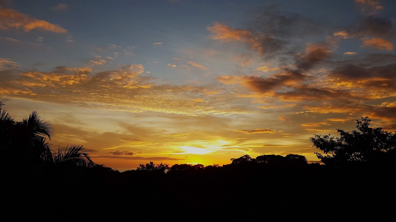 Photo of Outdoor in Ostional