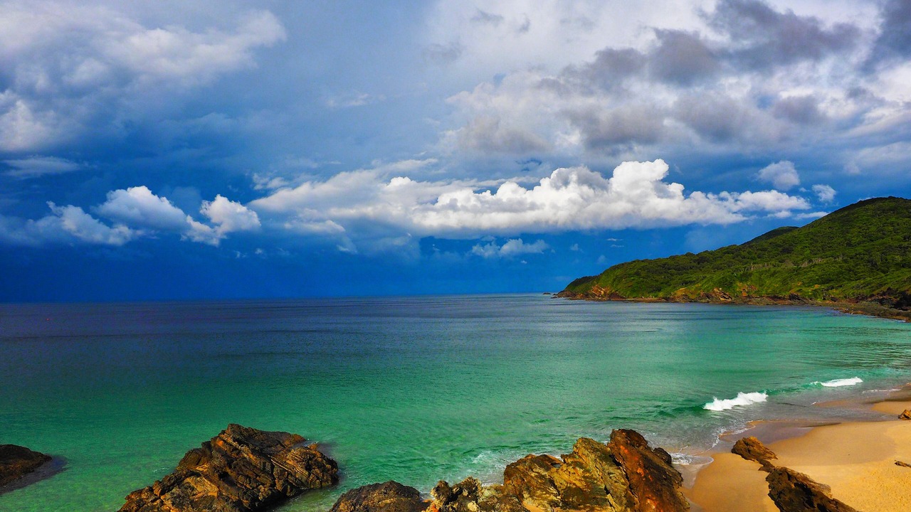 Photo of Others in Forster
