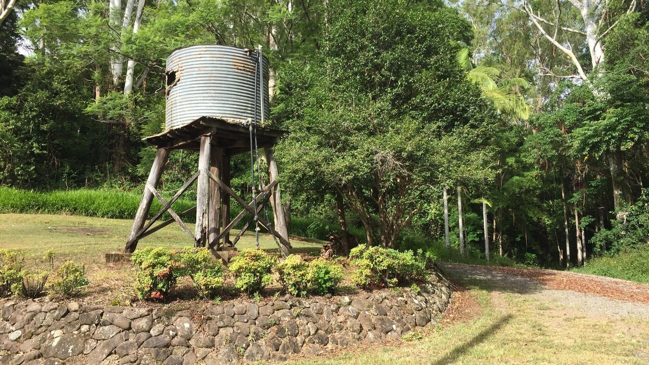 Photo of Outdoor in North Maleny