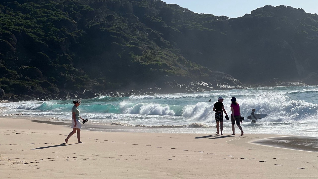 Photo of Others in Elizabeth Beach
