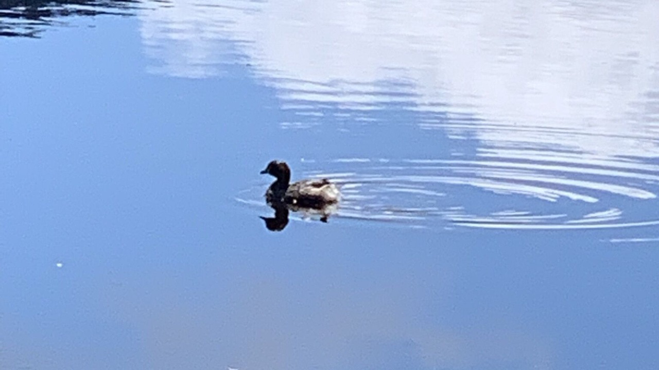 Photo of Others in Krawarree
