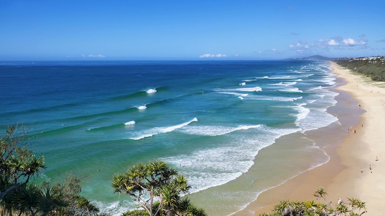 Photo of Others in Sunshine Beach