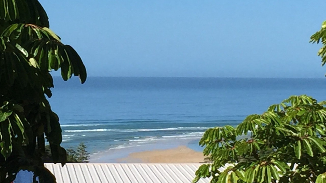 Photo of Others in Nambucca Heads