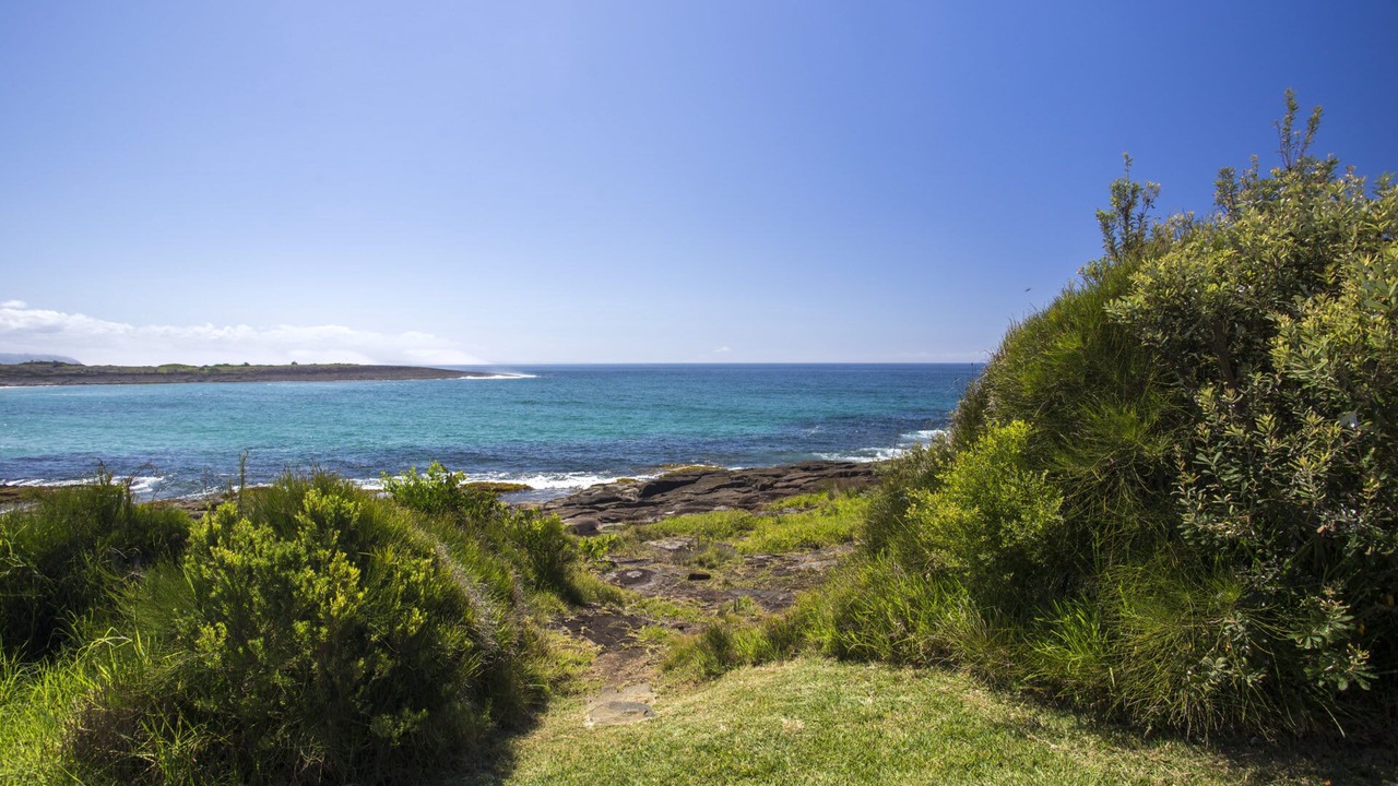 Photo of Others in Bawley Point