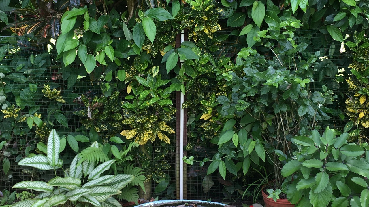 Photo of Outdoor in Langostino