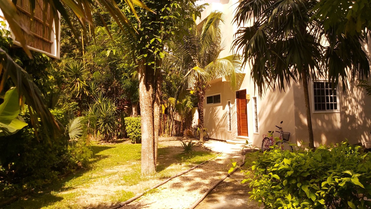 Photo of Outdoor in Cozumel