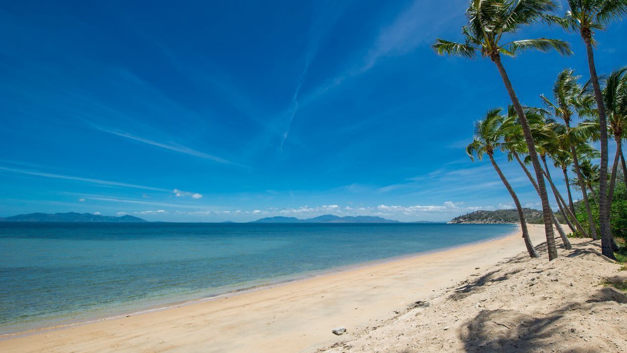 Photo of Others in Nelly Bay