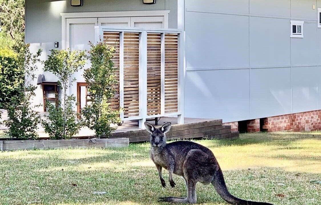 Photo of Others in Huskisson
