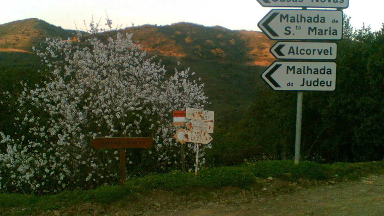 Photo of Outdoor in Fonte do Bispo