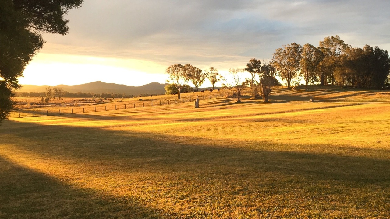 Photo of Others in Moruya