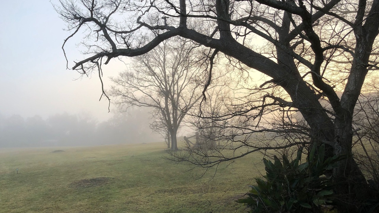 Photo of Others in Moruya