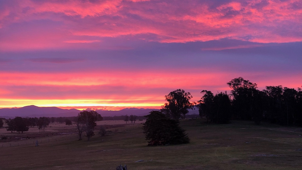 Photo of Others in Moruya