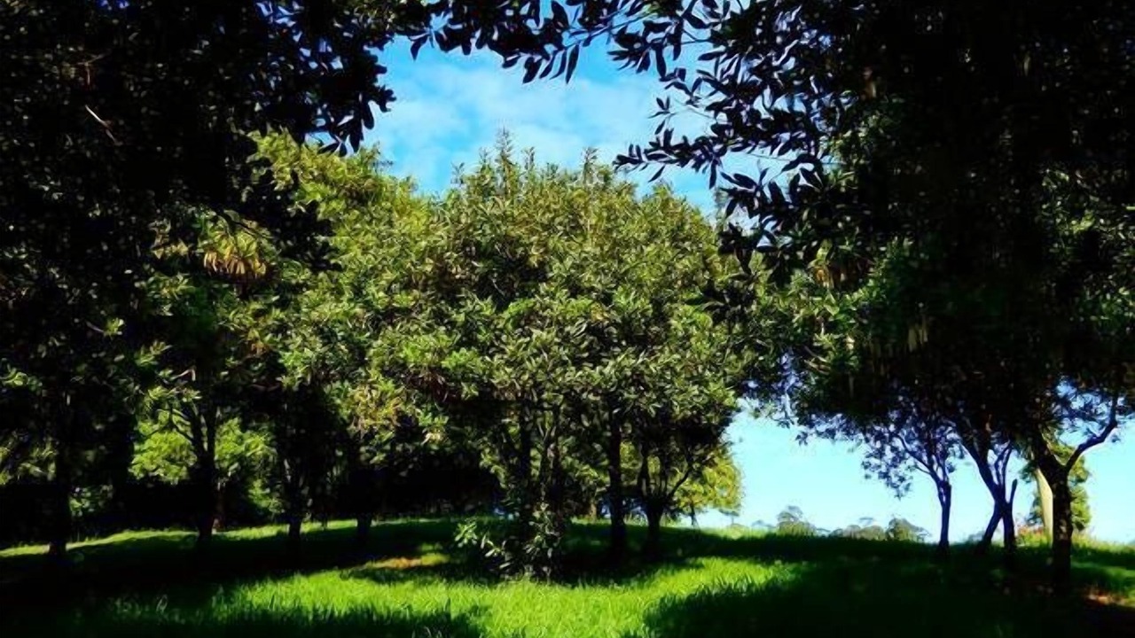 Photo of Outdoor in Repentance Creek