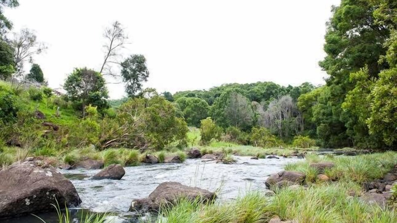 Photo of Others in Repentance Creek